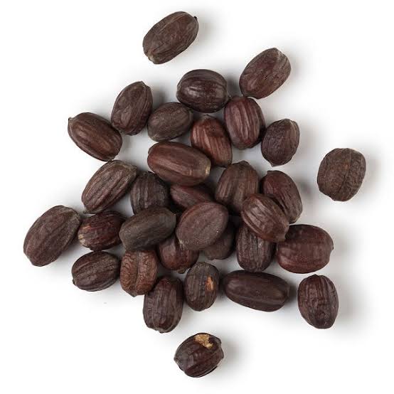بذر جوجوبا