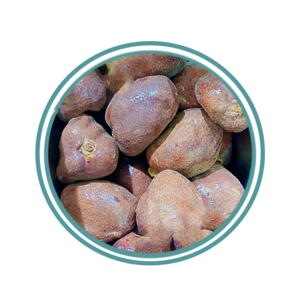 دوم حب