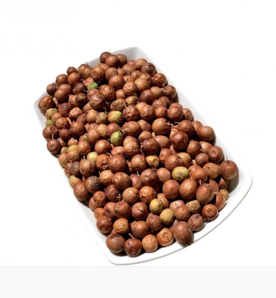 بذور السدر