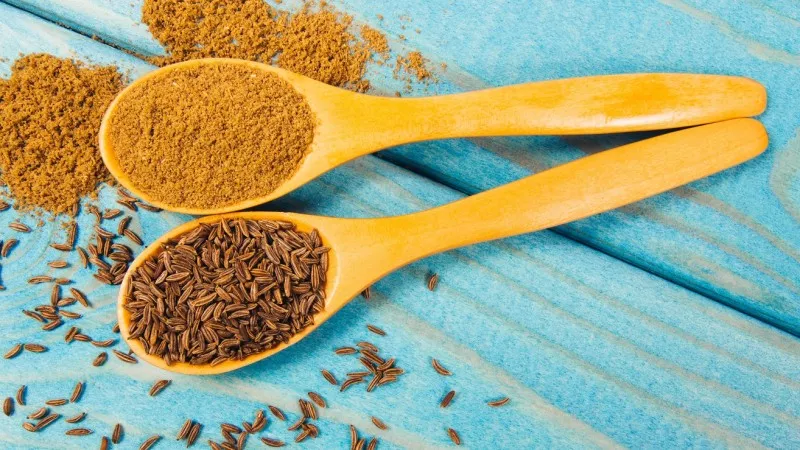 مقارنة بين أنواع الكمون: كيف تختار النوع المناسب لاحتياجاتك