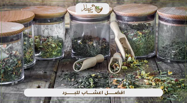 تعرف على افضل اعشاب للبرد