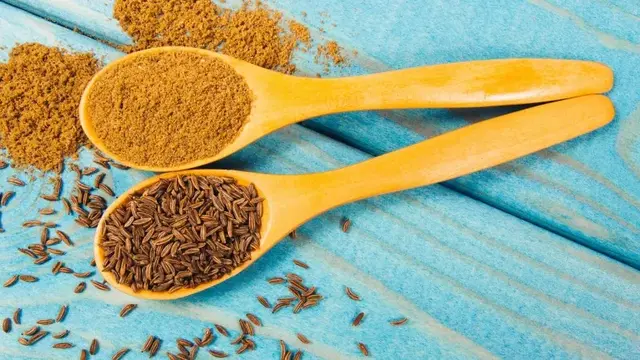 مقارنة بين أنواع الكمون: كيف تختار النوع المناسب لاحتياجاتك