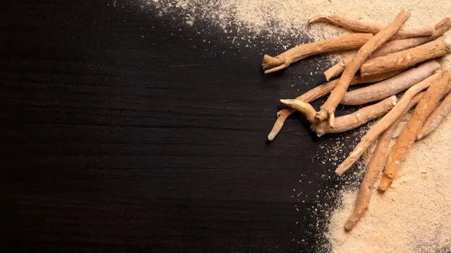 كيف تساعد عشبة اشواغاندا الجسم على التكيف مع الضغوط اليومية