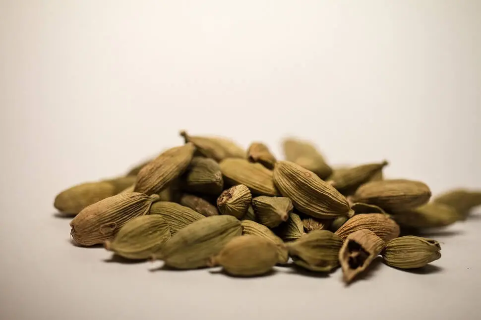 دليلك لمعرفة الهيل الممتاز من الهيل السيء
