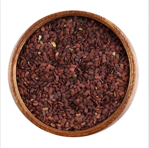 حلبة الخيل