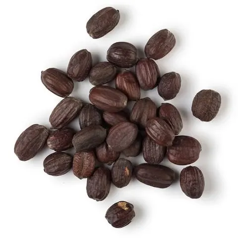 بذر جوجوبا