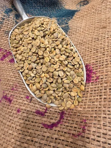 قهوة خولاني برية